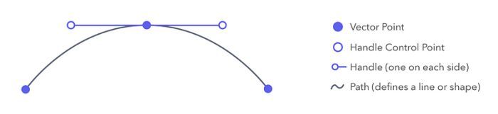 Curves using bezier tools winforms editor shape custom telerik bézier creating