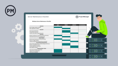 Cloud Server Maintenance Windows