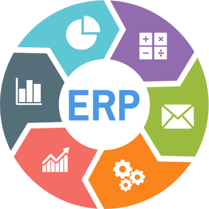 Cloud Computing Servers for Enterprise Resource Planning (ERP) Systems