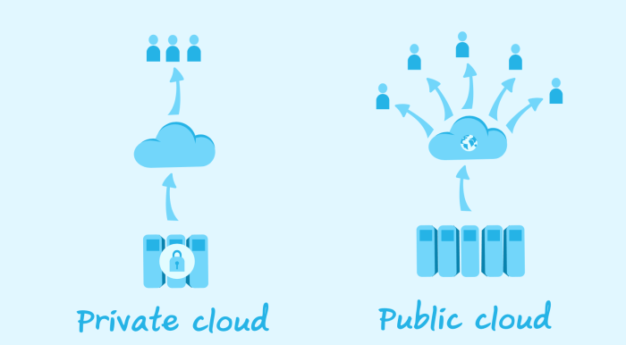 Public vs. Private Cloud Servers: Which Cloud Computing Server is Right for You?