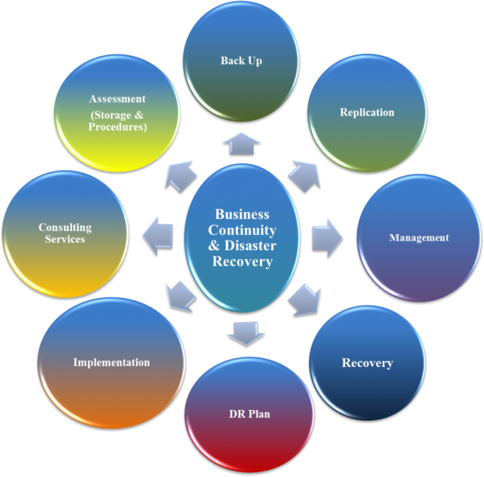 Cloud Computing Servers and Disaster Recovery: Ensuring Business Continuity