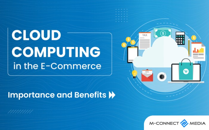 Cloud Computing Servers for E-commerce: Enhancing Website Performance and Security