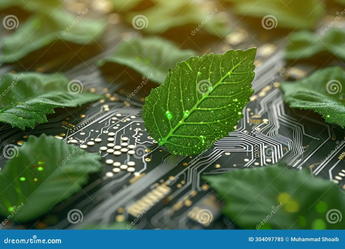 Green IT: How Cloud Computing Servers Contribute to Sustainable Business Practices