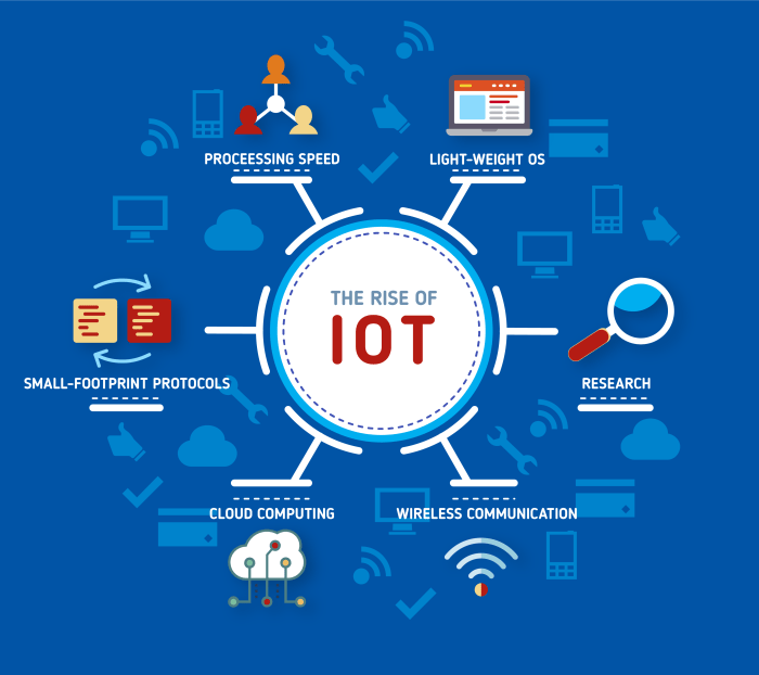 Cloud Computing Servers and IoT: Connecting Devices for Smarter Business Solutions