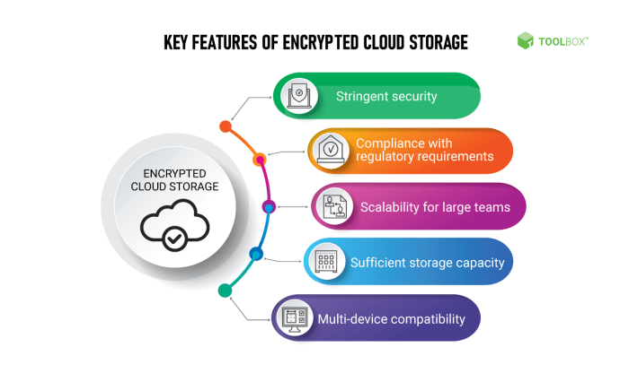 Cloud storage platform options