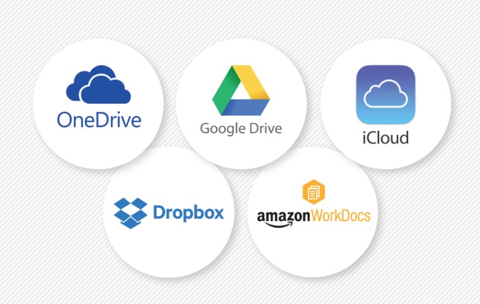 Cloud storage platform options