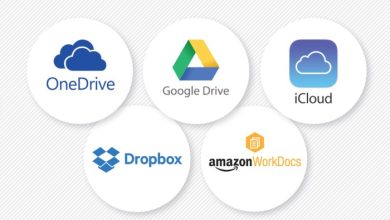 Cloud storage platform options